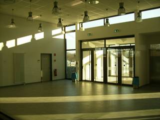 Projektsteuerung und Projektcontrolling